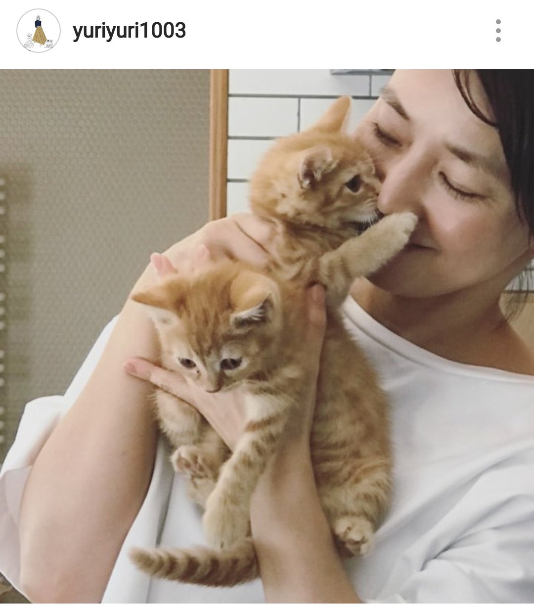 石田ゆり子が公開した子猫の 間違い探し 写真が 可愛すぎる と話題 猫よっといで 動物みんなよっといで Come On Catsandanimals 石田ゆり子が公開した子猫の 間違い探し 写真が 可愛すぎる と話題 猫よっといで 動物みんなよっといで Come On Catsandanimals