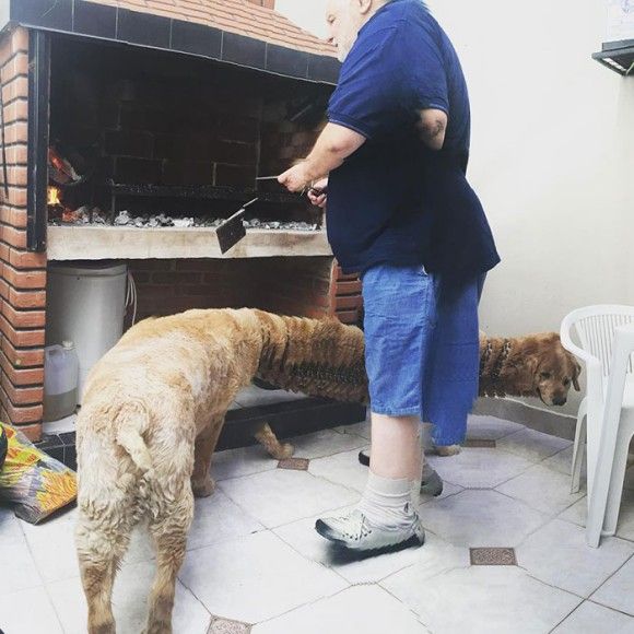 オカルト感満載 パノラマ写真を失敗すると とんでもない生き物が生まれる 写真集 猫よっといで 動物みんなよっといで Come On Catsandanimals