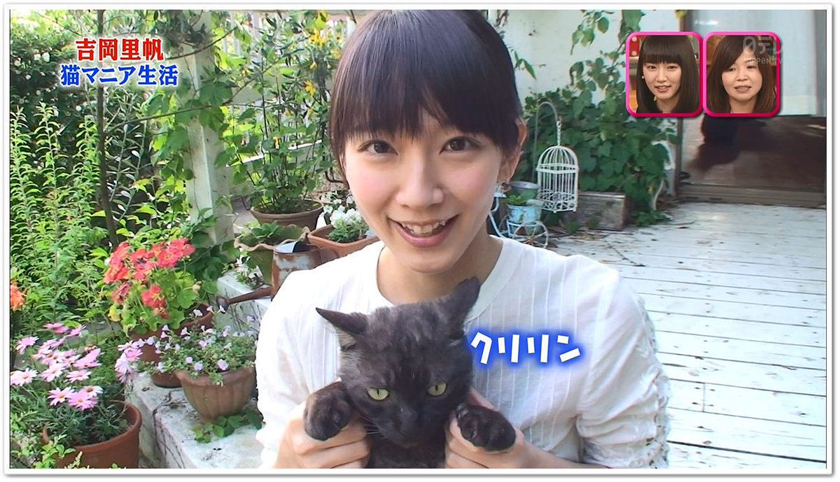 吉岡里帆も猫５匹 ミーちゃんと暮らす長瀬智也に 過保護 猫よっといで 動物みんなよっといで Come On Catsandanimals