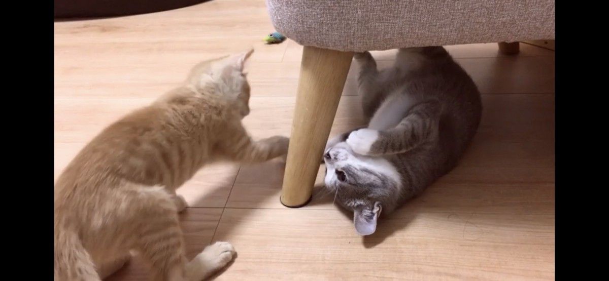 仕返し