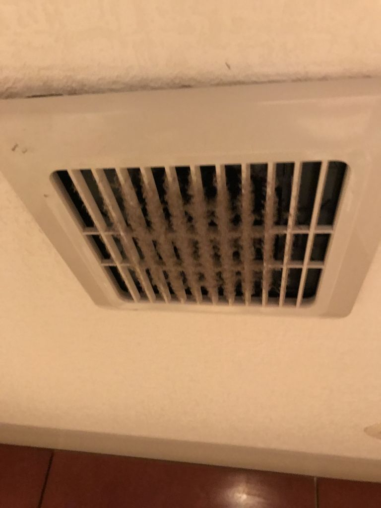 ホコリを減らす方法 必見 換気扇に集まるホコリの正体 美佐ママのお掃除ブログ ホコリを減らす方法 必見 換気扇に集まるホコリの正体 美佐ママのお掃除ブログ