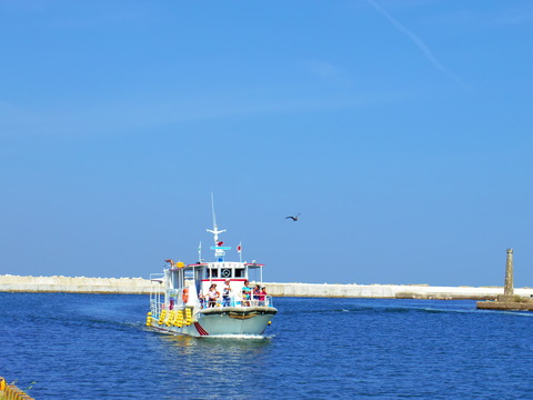 IMGP9728