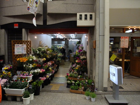 DSCF2218