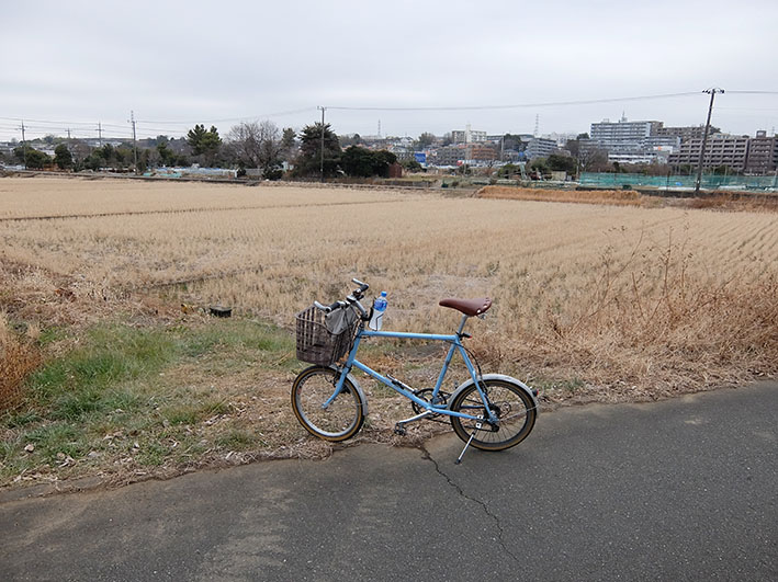 ポタ12