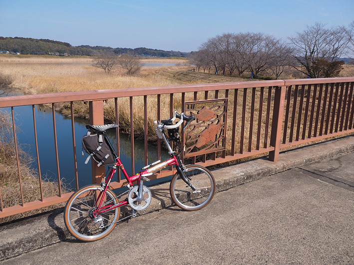 印旛沼サイクリング  鉄分補給と野鳥観察