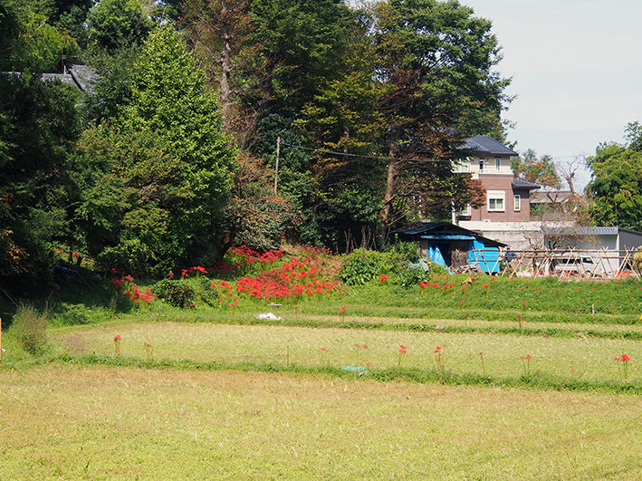 写真11