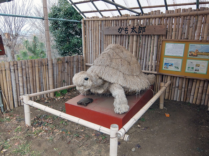 江ノ島16