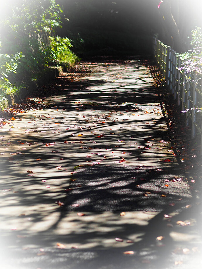 写真3
