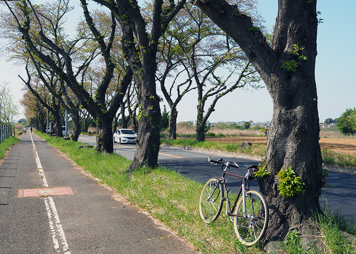 ロードバイクの事故!!