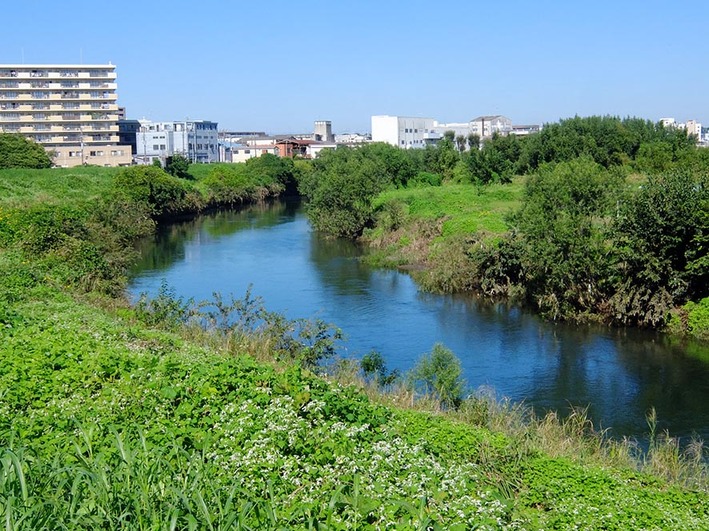 新治3