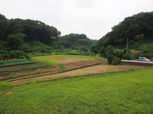 イメージ 14