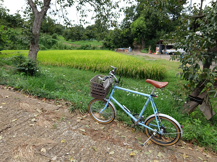 散歩2