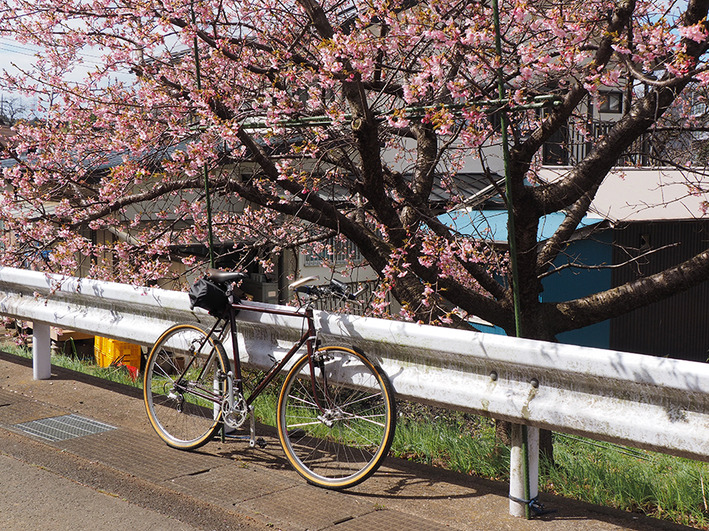 自転車走行禁止増えてます!!