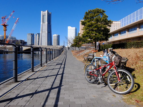 奇跡の復活なるか!?  神奈川臨海鉄道国際埠頭線