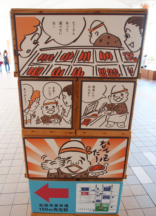 イメージ 6