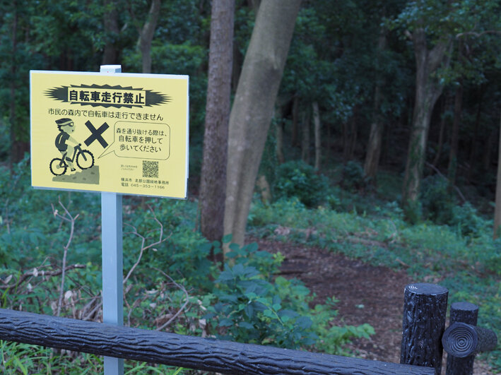 写真5