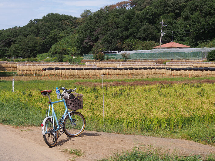 写真1