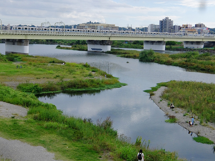多摩川15