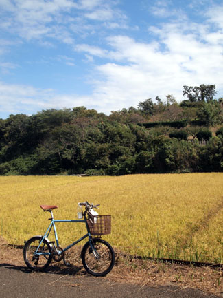 里山案山子サイクリン・グ～♪