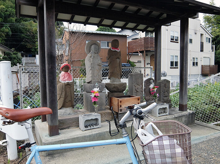 写真501