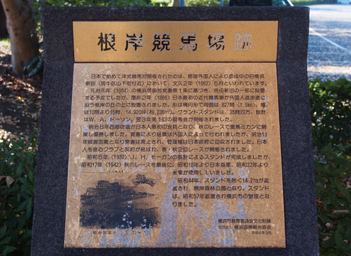 イメージ 10