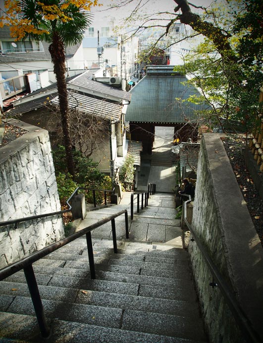 横浜市内の富士山に挑む!?