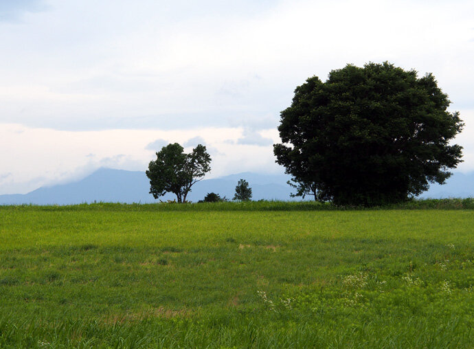写真501
