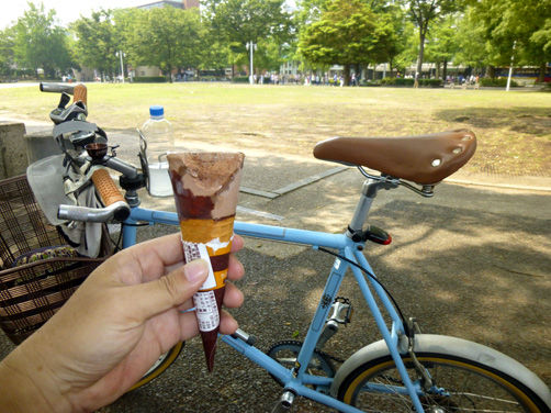 ロード・クロスバイク・MTBには泥よけがないのですが……