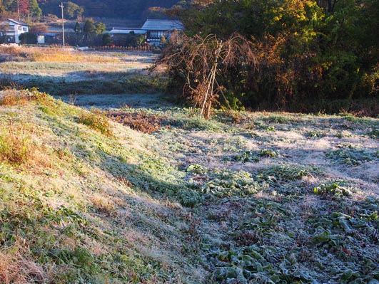 紅葉の林道サイクリング2/万沢林道と暮坂峠（群馬県西部）