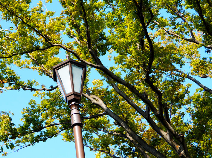 写真23