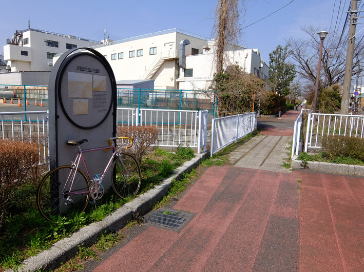 写真304