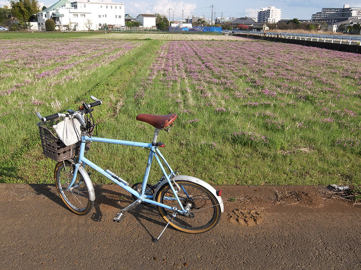 我が家の女子会と激安ピザ!!