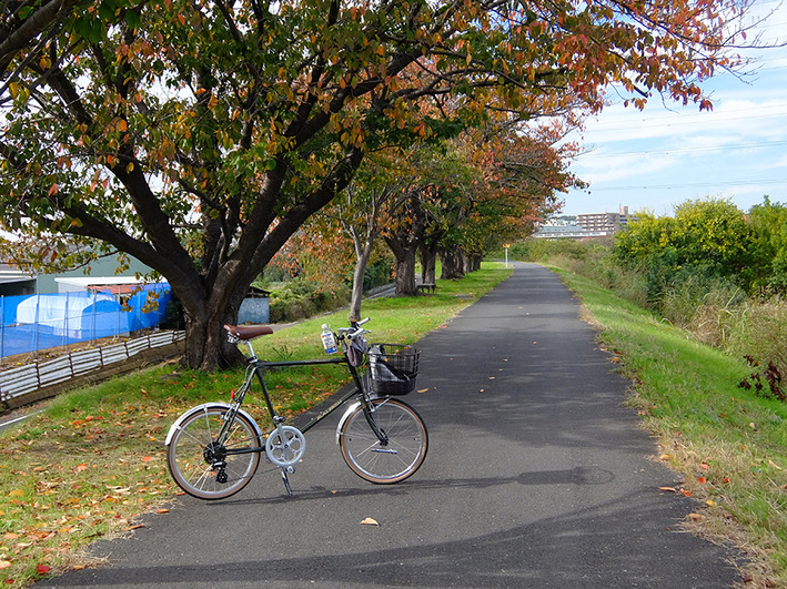 スーパーカーの聖地がまいばすけっとに!!
