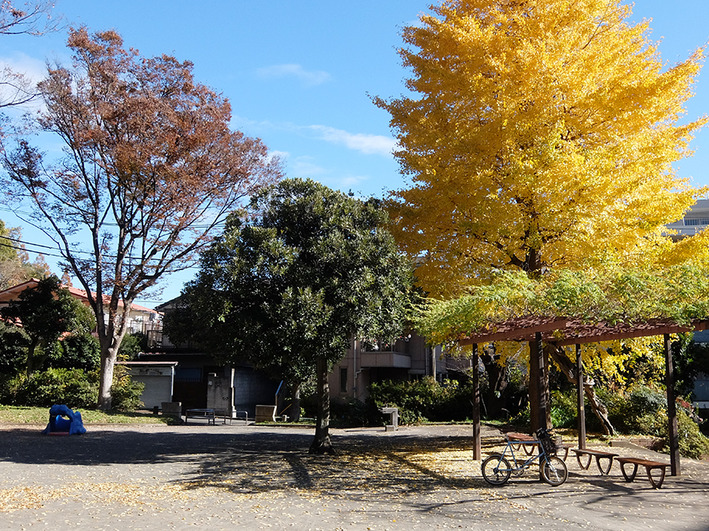 禁酒1週間、冬枯れポタリング♪