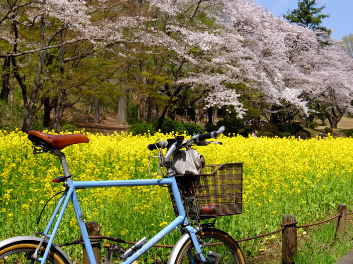 写真102