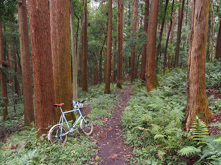 写真511