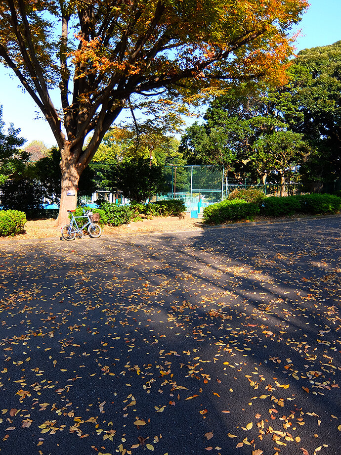 写真1