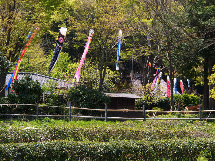 イメージ 4