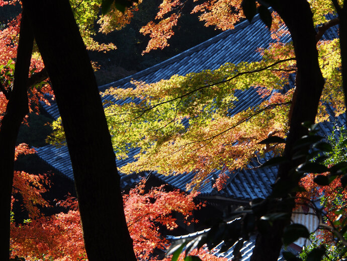 写真14