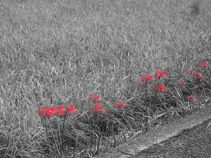 天気が良いのでドカベンスタジアムへ♪