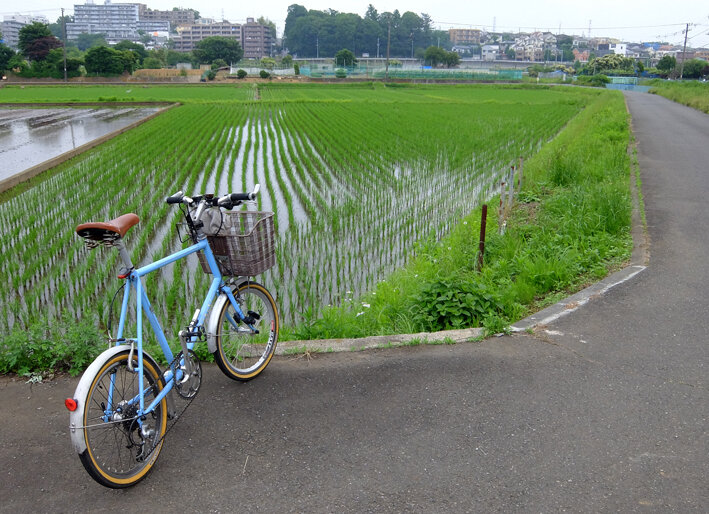 写真1