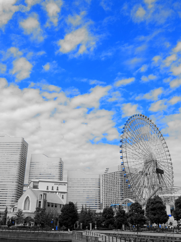 写真1