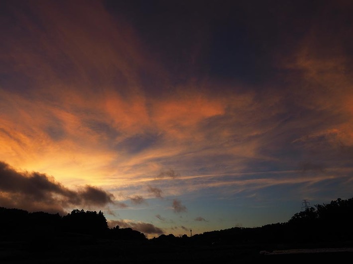 友人がBSダイヤモンドに乗ってきた!!