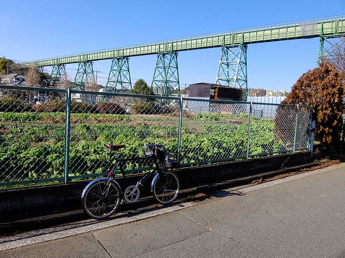 強風サイクリング8