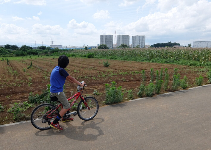 写真11