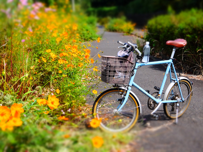 久しぶりに峠越えサイクリング!?