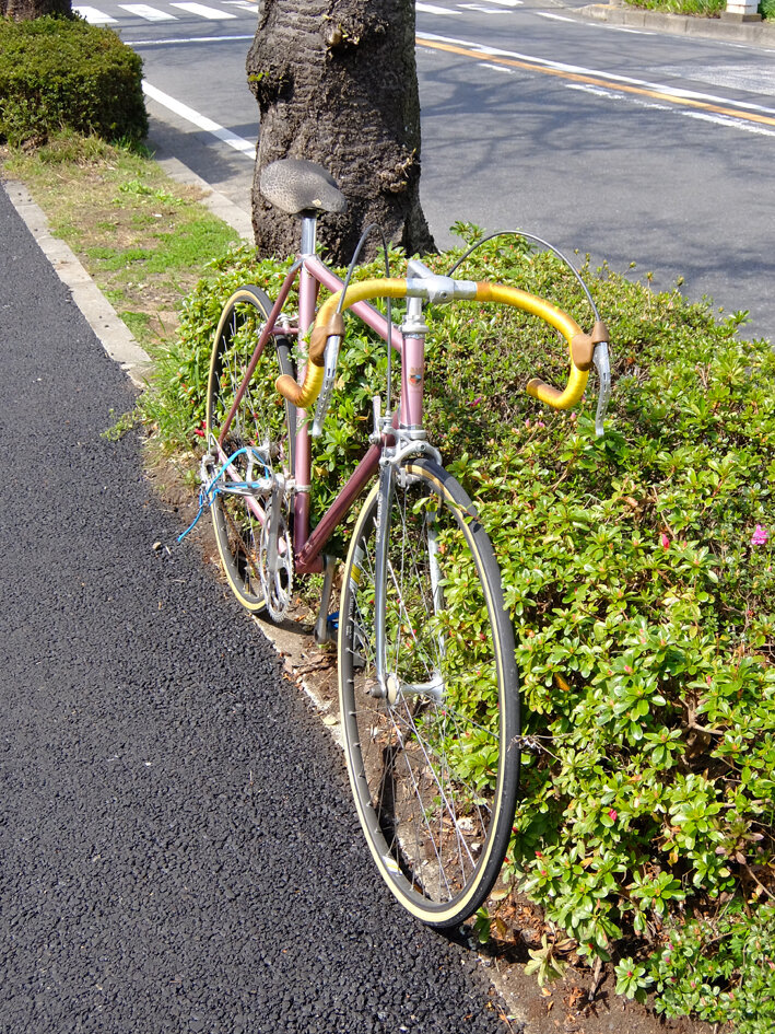 写真500