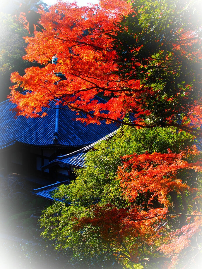 写真13