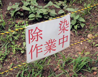 イメージ 14