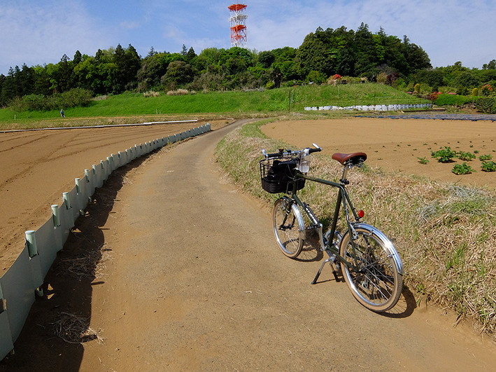 ご近所ポタ　何も変わらない自転車罰則!?